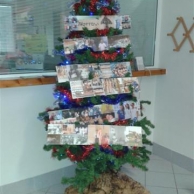 Il nostro albero